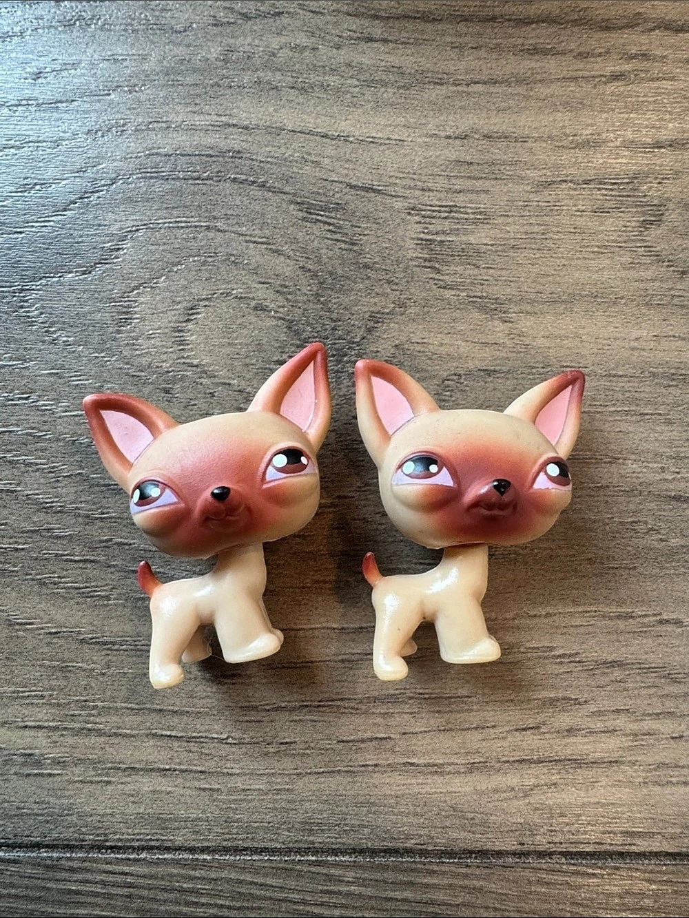 Hasbro Littlest Pet Shop Chihuahua #1 Set of 2